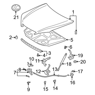 Lexus OE - Hood & Components
