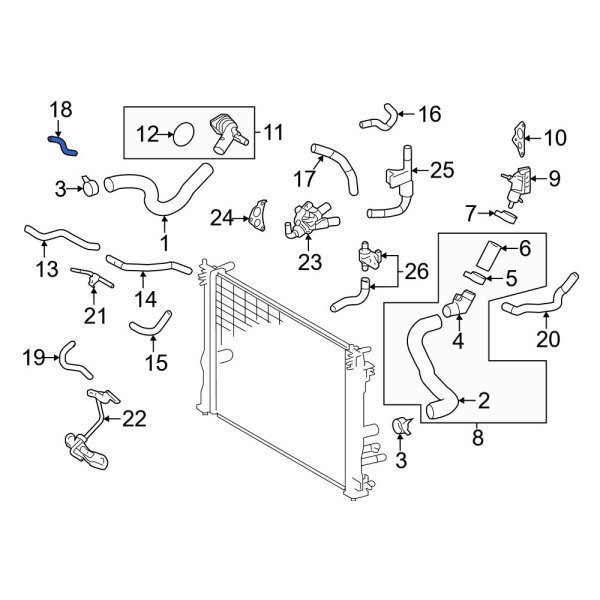 Engine Coolant Bypass Hose