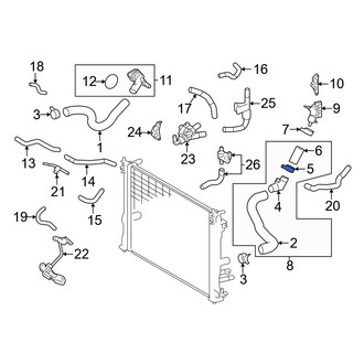 Lexus OE - Radiator Hose Clamp