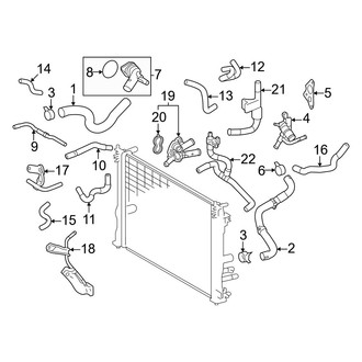 Lexus OE - Cooling - Hoses & Lines