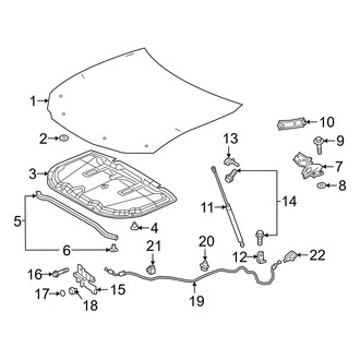 Lexus OE - Hood & Components