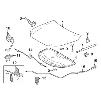 Lexus OE - Hood & Components