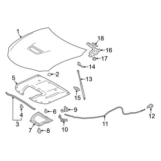 Lexus OE - Hood & Components