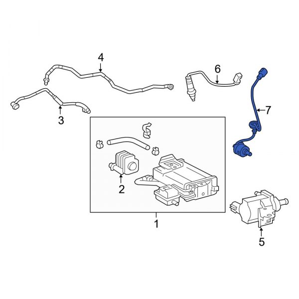 Oxygen Sensor