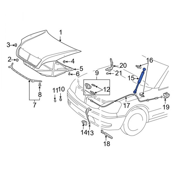 Hood Lift Support