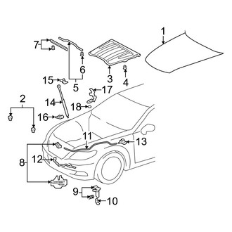 Lexus OE - Hood & Components