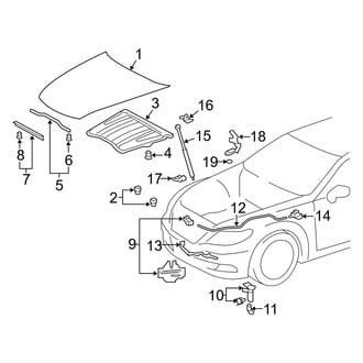 Lexus OE - Hood & Components