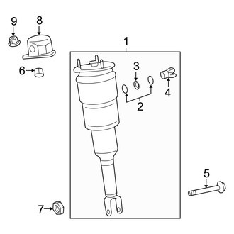 Lexus OE - Front Suspension - Struts & Components (With Air Suspension), (RWD)