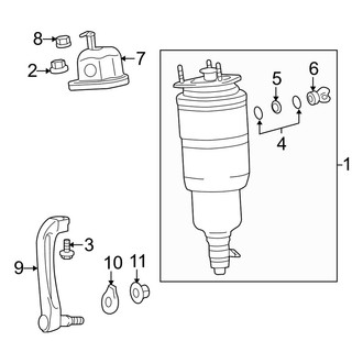 Lexus OE - Front Suspension - Struts & Components (With Air Suspension), (AWD)