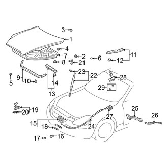 Lexus OE - Hood & Components