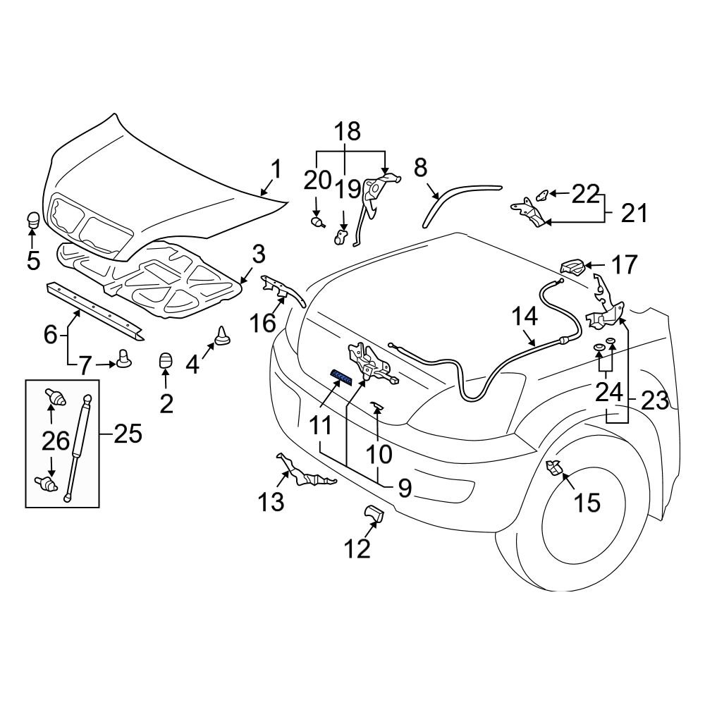 Lexus OE 9008050100 Front Hood Pop Up Spring