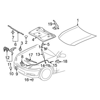 Lexus OE - Hood & Components