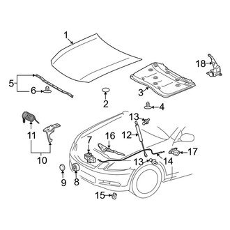 Lexus OE - Hood & Components