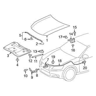 Lexus OE - Hood & Components