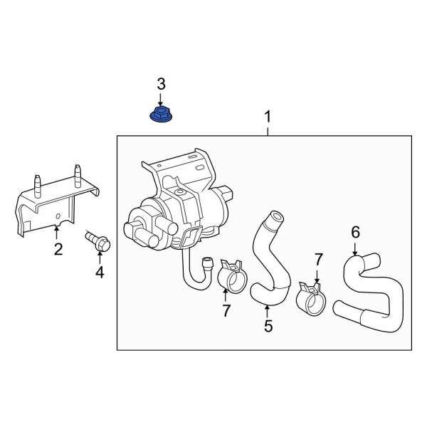 Engine Water Pump Nut