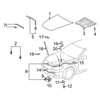 Lexus OE - Front Hood Stop Buffer