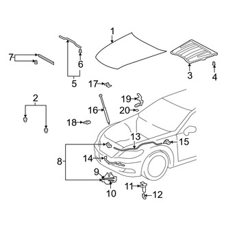 Lexus OE - Hood & Components