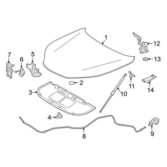 Lexus OE - Hood & Components