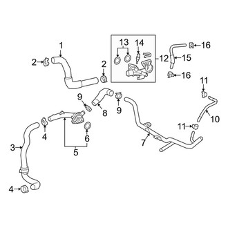 Lexus OE - Cooling - Hoses & Lines