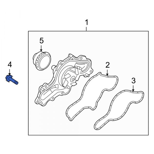 Engine Water Pump Bolt