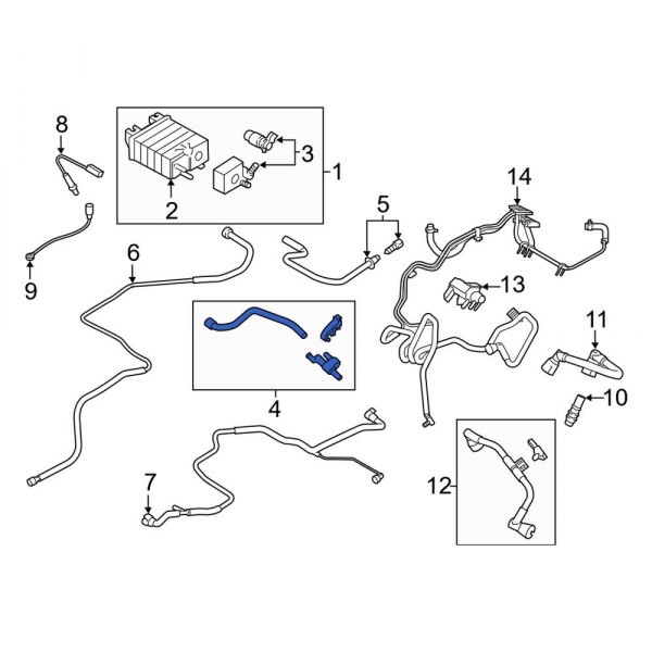 Evaporative Emissions System Lines