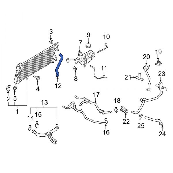 Radiator Coolant Hose