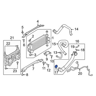 Lincoln OE - Intercooler Pipe Clamp