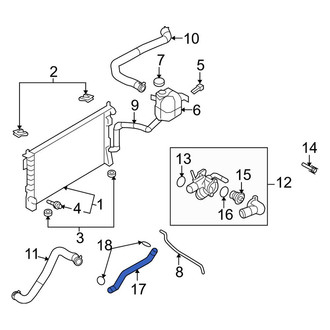 Lincoln OE - Lower Radiator Coolant Hose