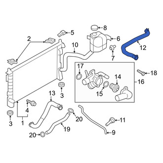 Lincoln OE - Upper Radiator Coolant Hose