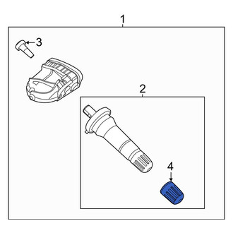Lincoln OE - Tire Pressure Monitoring System (TPMS) Valve Stem Cap