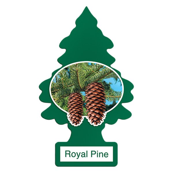 Little Trees® - Magic Tree™ Royal Pine Air Fresheners