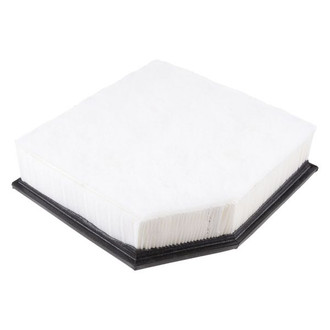 Luber-finer® - Air Filter