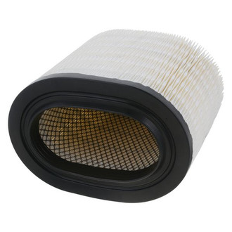 Luber-finer® - Air Filter