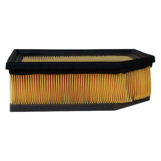 Luber-finer® - Air Filter