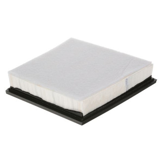 Luber-finer® - Panel Air Filter