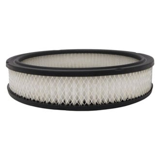 Luber-finer® - Air Filter