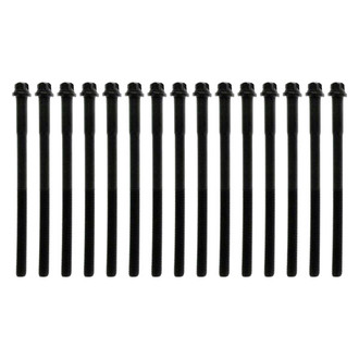 Mahle® - OEM Standard Cylinder Head Bolt Set without Washers