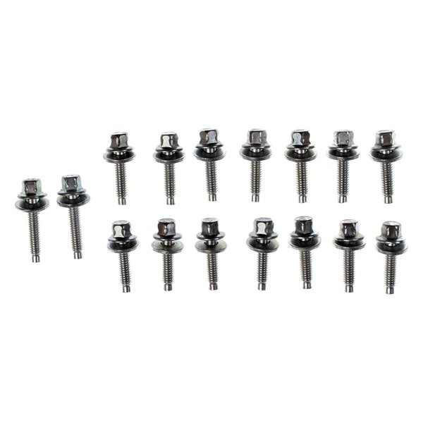 Mahle® Engine Oil Pan Bolt Set