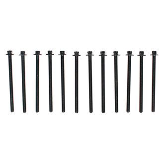Mahle® GS33860 - Cylinder Head Bolt Set