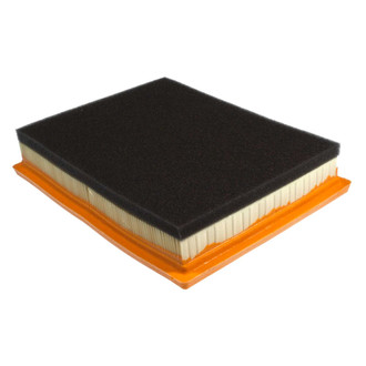 Mahle® - Air Filter