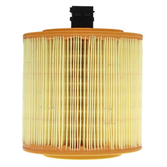 Mahle® - Engine Air Filter