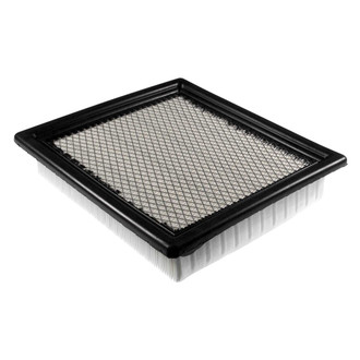 Mahle® - Engine Air Filter