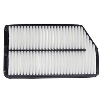 Mahle® - Air Filter