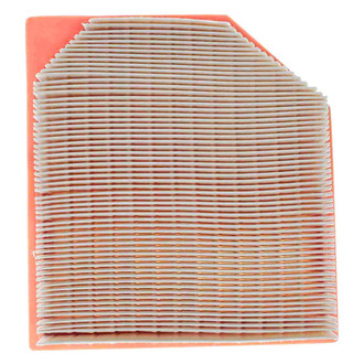 Mahle® - Air Filter
