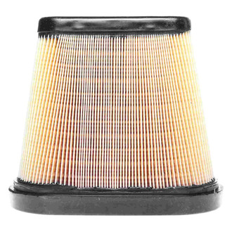 Mahle® - Engine Air Filter