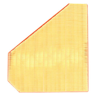 Mahle® - Air Filter