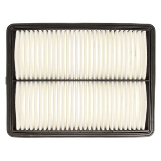 Mahle® - Air Filter