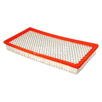 Mahle® - Engine Air Filter