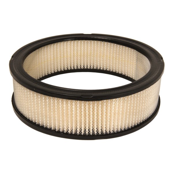 Mahle® - Panel Primary Air Filter