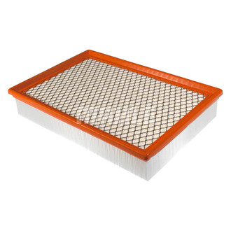 Mahle® - Engine Air Filter